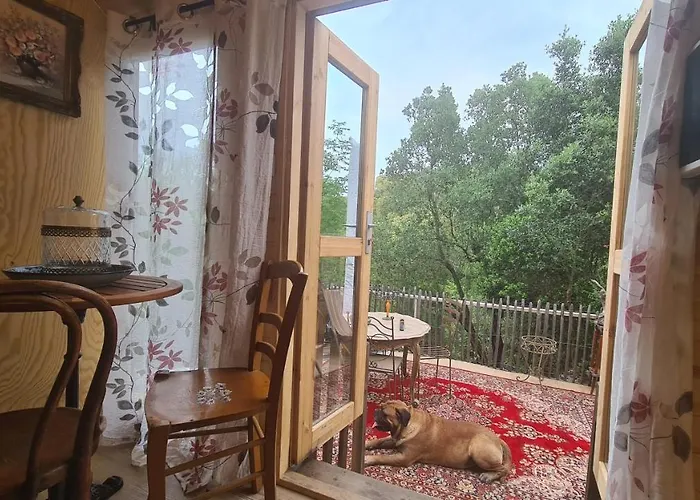 La Roulotte Au Coeur Du Maquis Carbuccia