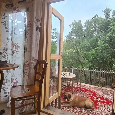 La Roulotte Au Coeur Du Maquis Carbuccia